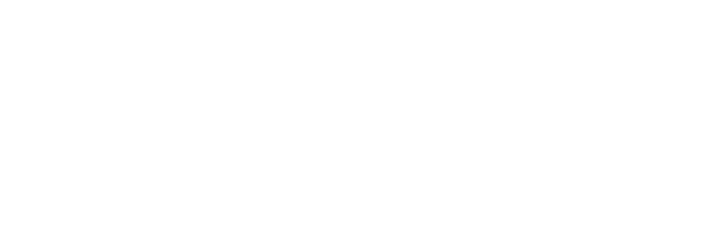 Logic-logo white copy