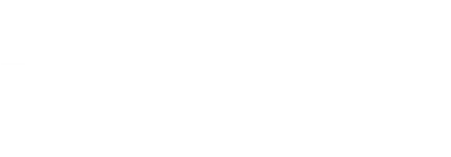 Logic logo white large
